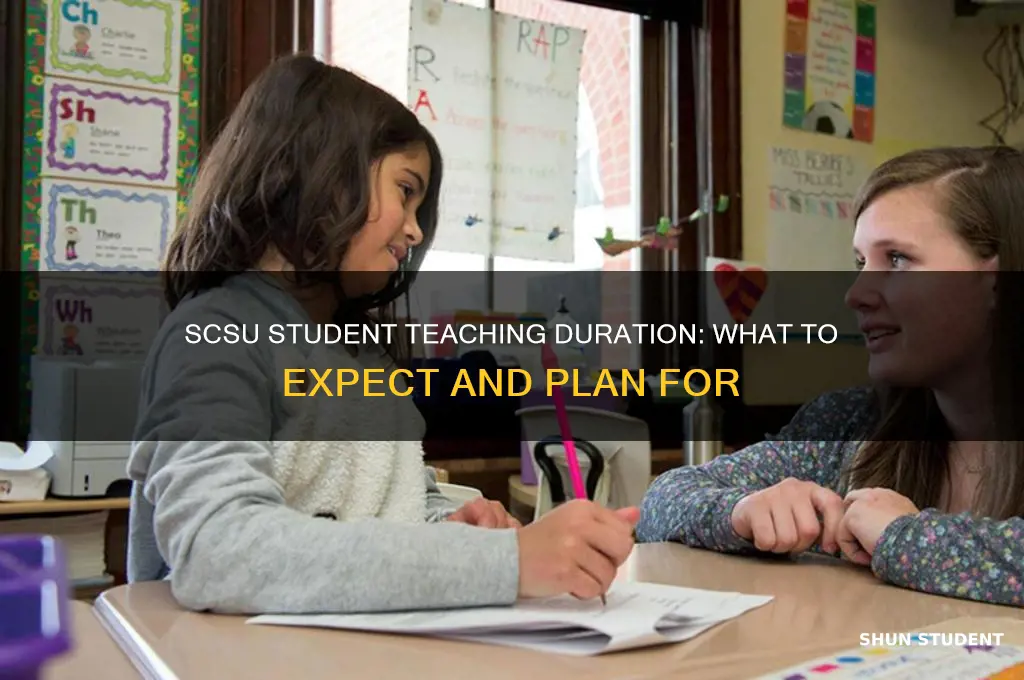 how long is student teaching at scsu