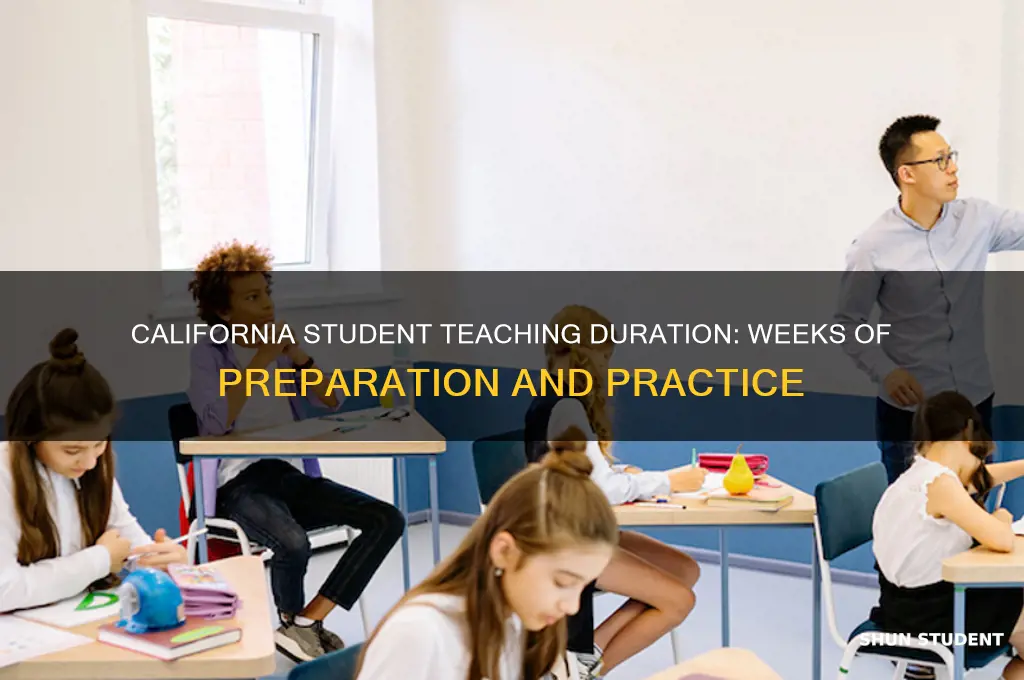 how long is student teaching in california in weeks