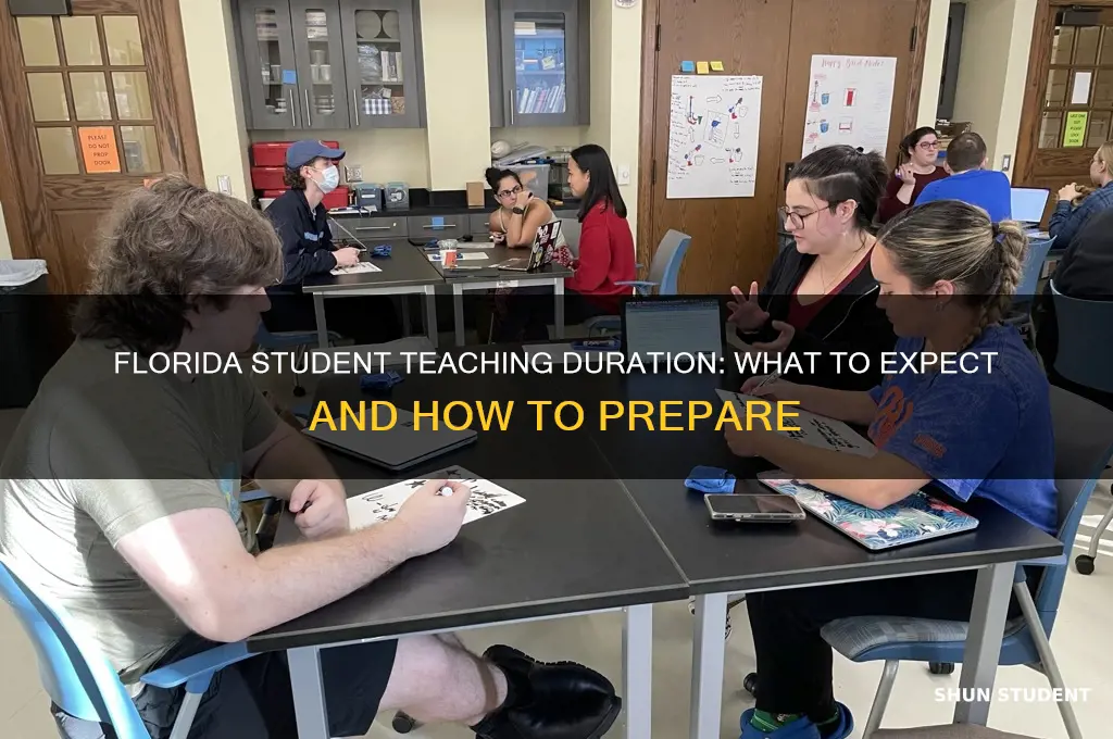 how long is student teaching in florida