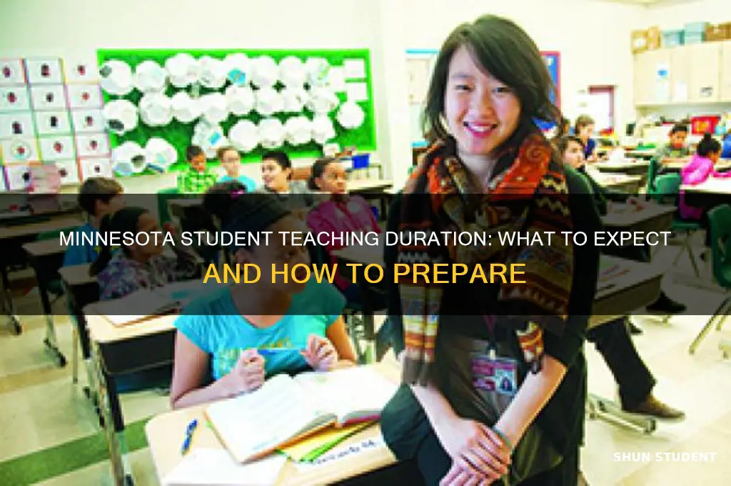 how long is student teaching in minnesota