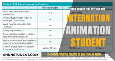 Animation Student OPT Visa: How Long Does It Last?