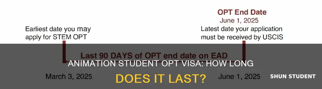 how long is the opt visa for internation animation student
