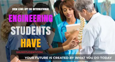 International Engineering Students: Understanding Your OPT Options