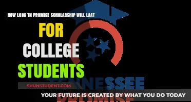 How Long Does the TN Promise Scholarship Last for College Students?