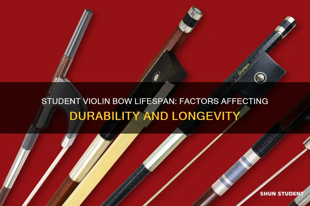 how long will a student violin bow last