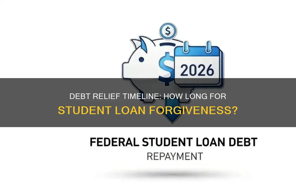 how long will debt relief take student loans