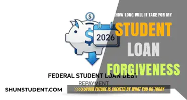 Student Loan Forgiveness Timeline: What to Expect for Debt Relief