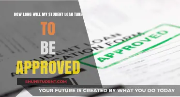 Understanding Student Loan Approval Timelines: What to Expect