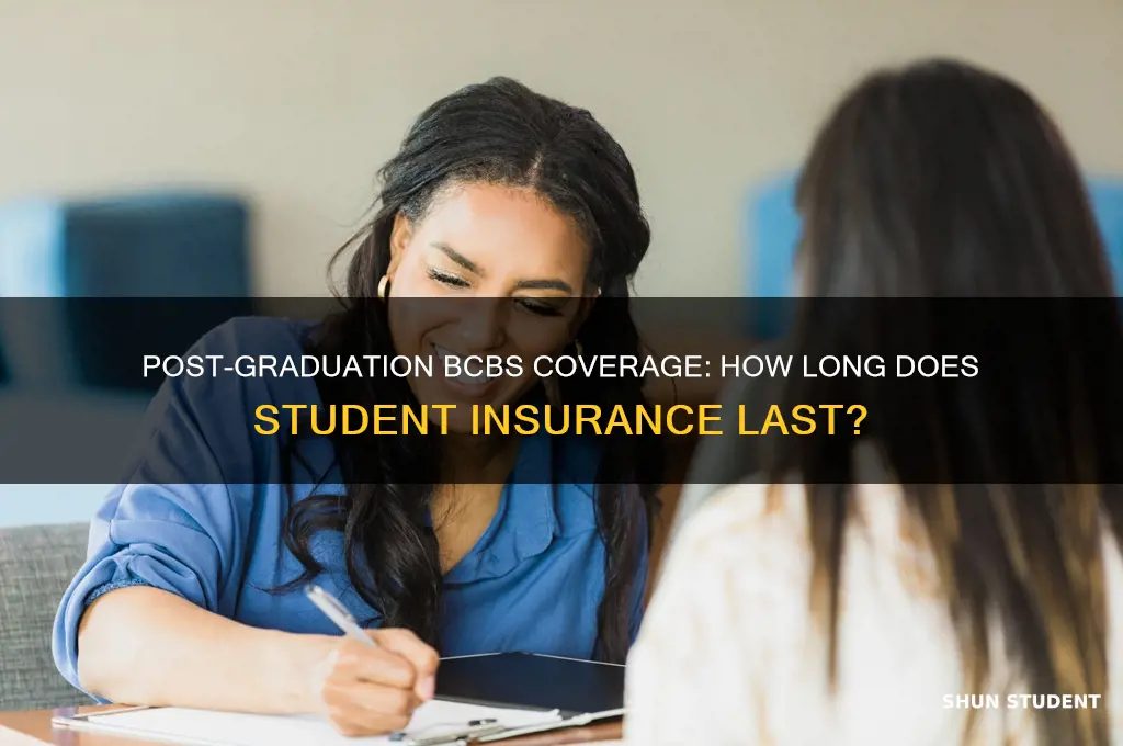 how long will student bcbs last after graduation