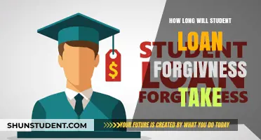 Student Loan Forgiveness Timeline: What Borrowers Need to Know