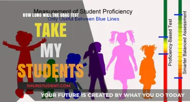 Understanding SBAC Test Duration: What to Expect for Your Students