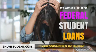 Student Loan Pay: How Low Can You Go?