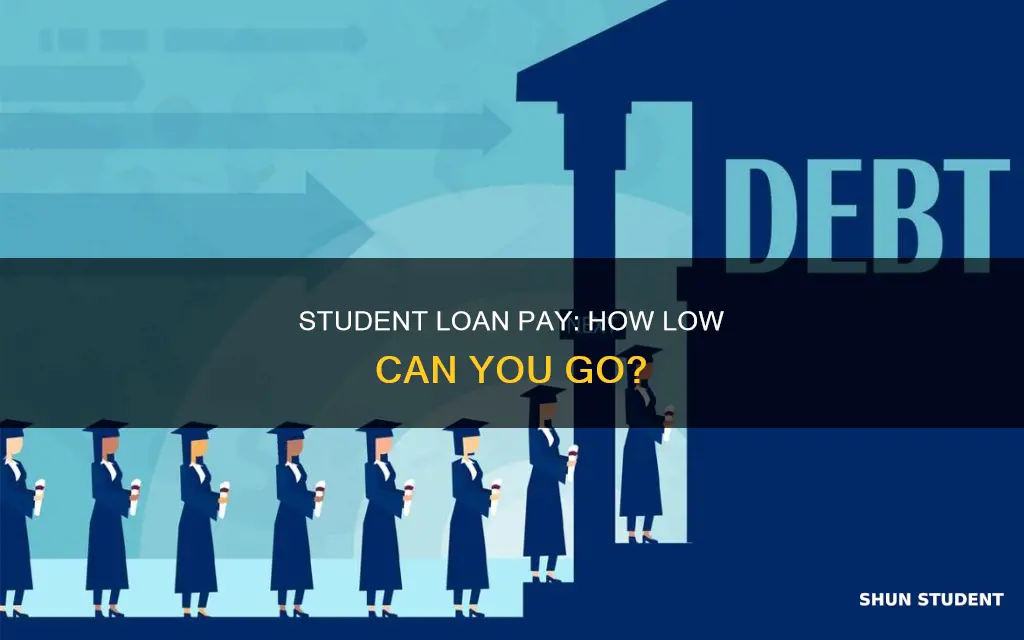 how low can my pay be for federal student loans