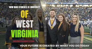 West Virginia University: Student Population Insights