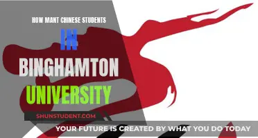 Chinese Students at Binghamton University: A Large Presence?