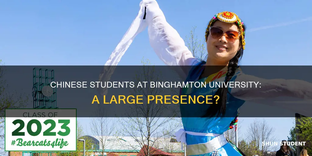 how mant chinese students in binghamton university