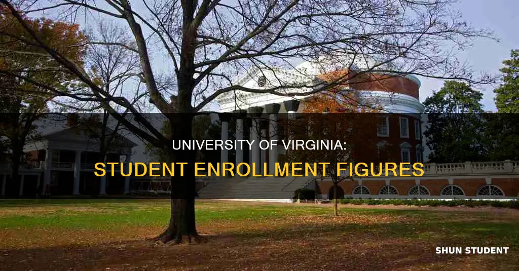 how mant students attend university of virginia