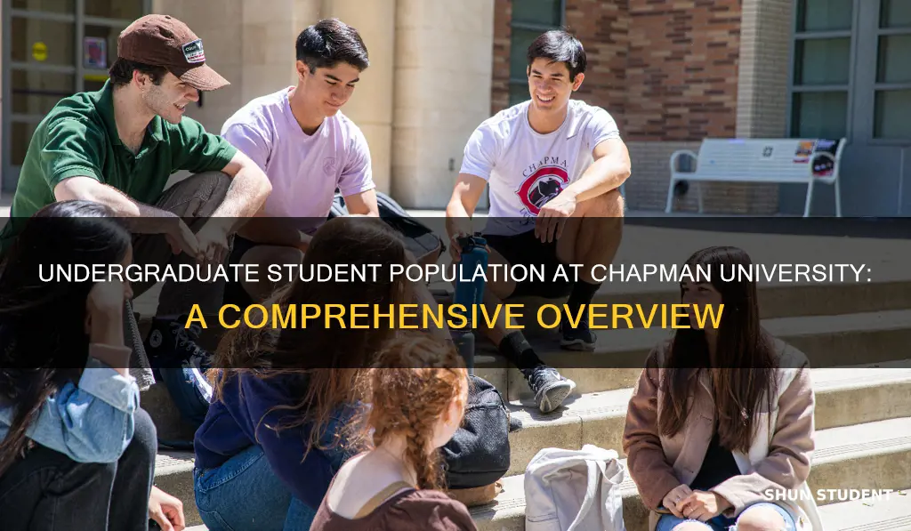 how manu undergraduate students at chapman university