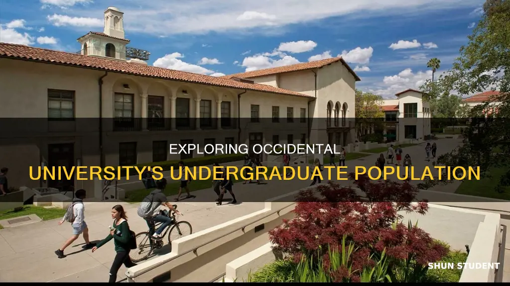 how manu undergraduate students at occidental university