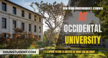 Undergraduate Enrollment at Occidental University: How Many Students?