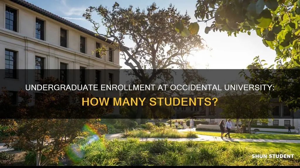 how manu undergraduate students at occidental university
