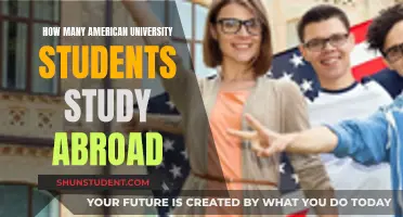 Exploring International Education: American Students Abroad