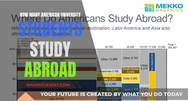 Exploring International Education: American Students Abroad