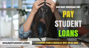Americans Struggle to Repay Student Loans