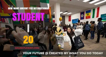 International Student's Guide: Understanding I-20 Costs