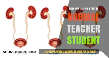 Understanding Normal A Grades: Teacher and Student Perspectives on Test Results