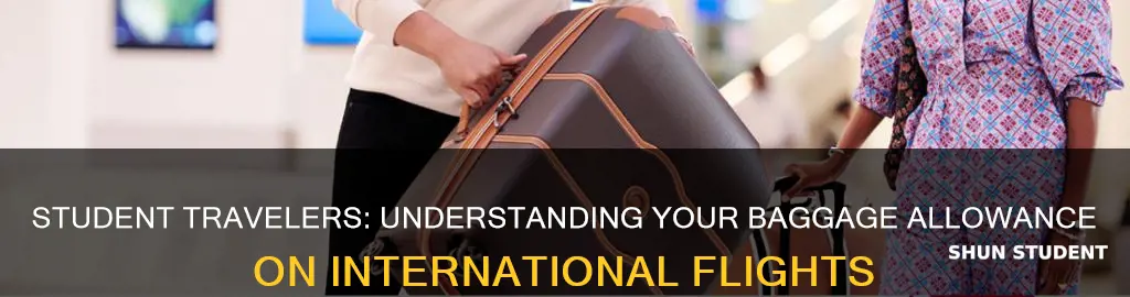 how many bags are allowed in international flight for students