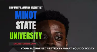 Bahamian Students' Presence at Minot State University