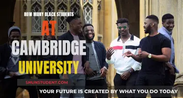 Black Representation at Cambridge University: The Numbers