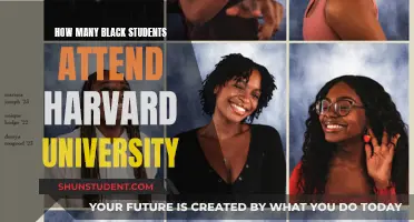 Black Student Enrollment at Harvard University: The Numbers Explained