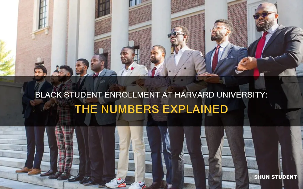 how many black students attend harvard university