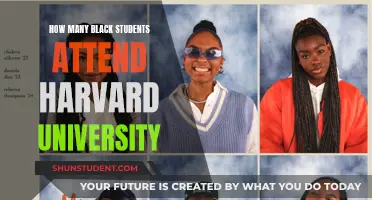Black Students at Harvard: What's the Count?
