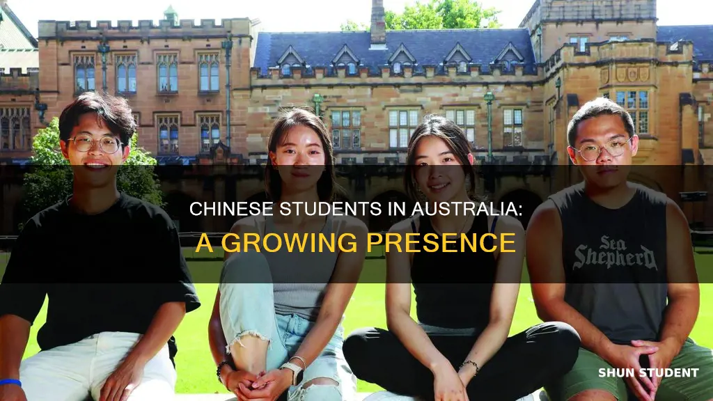 how many chinese international students in australia