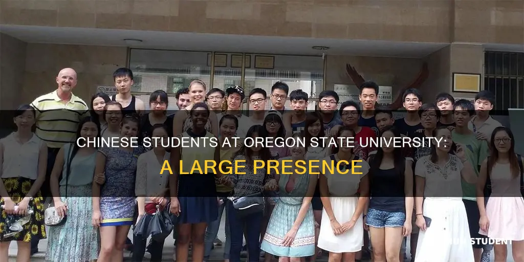 how many chinese student in oregon state university