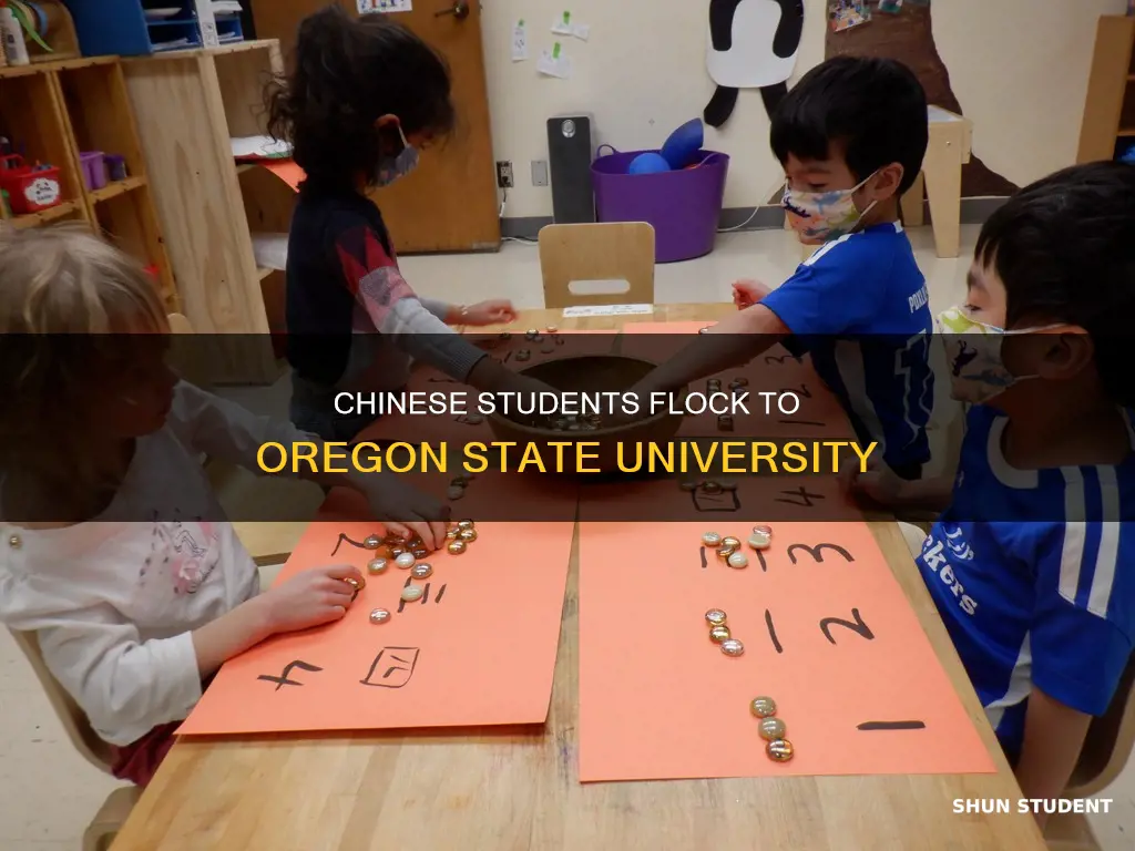 how many chinese student in oregon state university