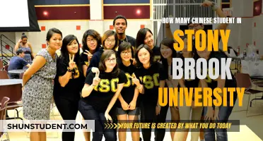 Stony Brook University: Chinese Student Population Examined