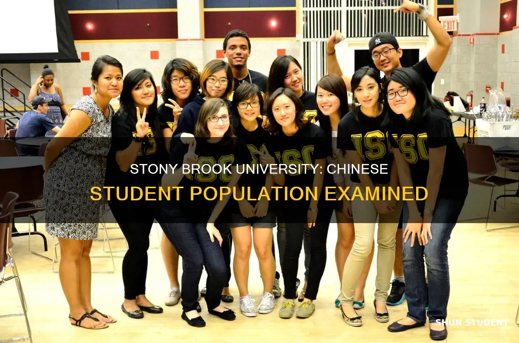 how many chinese student in stony brook university