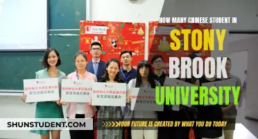 Stony Brook University's Chinese Student Population