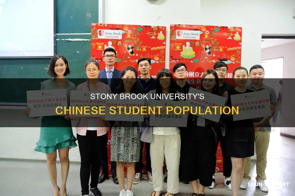 how many chinese student in stony brook university