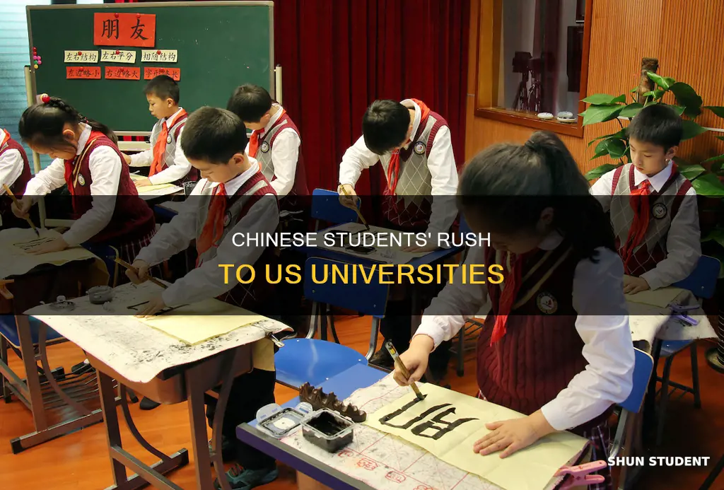 how many chinese students apply to us universities every year
