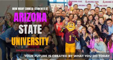 Chinese Students Thriving at Arizona State University