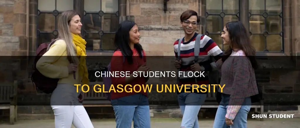 how many chinese students at glasgow university