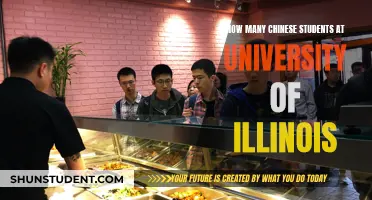 Chinese Students at the University of Illinois: A Large Presence