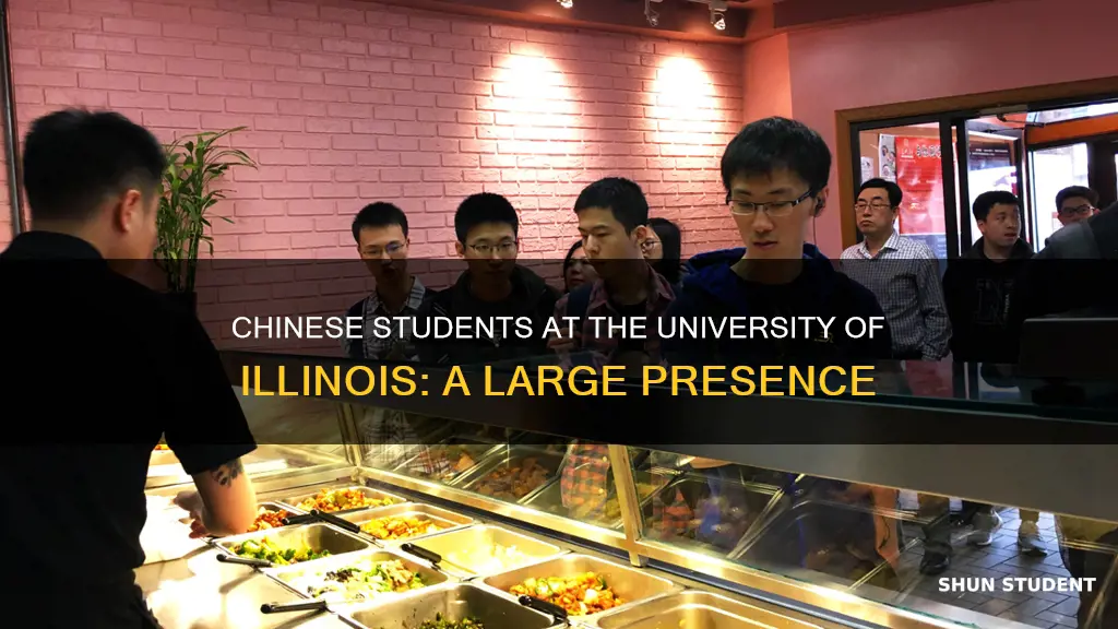 how many chinese students at university of illinois