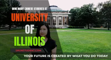 Chinese Students Thriving at the University of Illinois