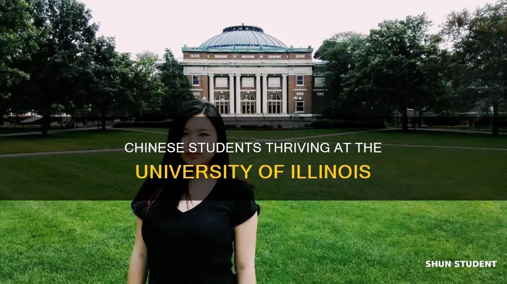 how many chinese students at university of illinois
